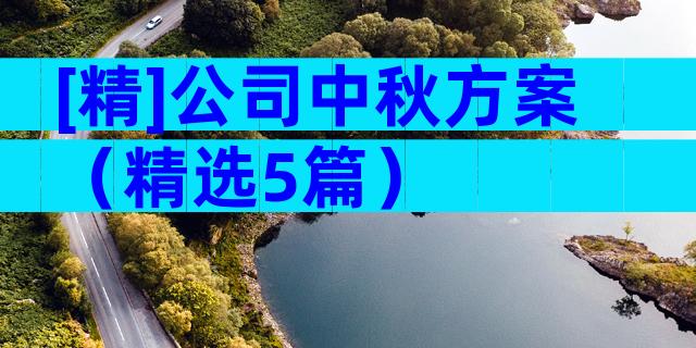 [精]公司中秋方案（精选5篇）